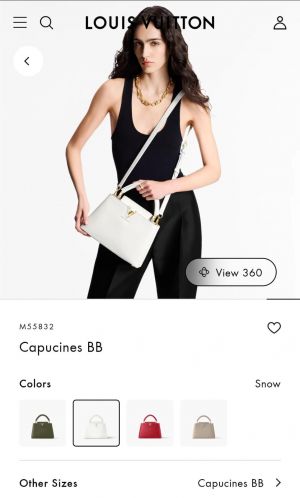 Louis_Vuittion_LV_Capucines_BB_Handbag_With_DoubleBox_Dustbag_Slingbelt_Bill_Carrybag