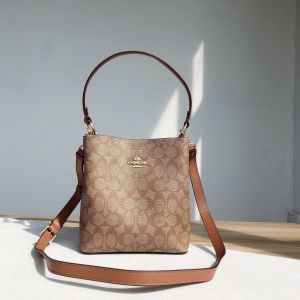 _Coach_mollie_bucket_bag_with_og_box_(2036-brown)