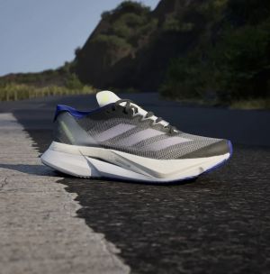 Adida s Adizero Boston 12 Carbon Silver blue