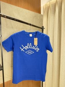 Sale Hollister Blue Tshirt