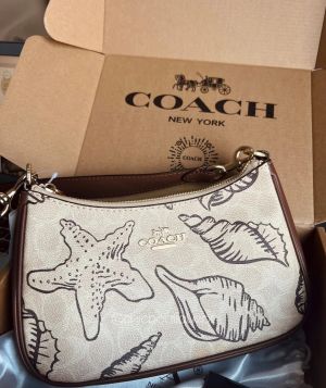 Coach_Teri_Shell_Edition_With_Premium_OriginalBox