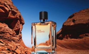 Hermes Paris Terre D Hermes EDT 100ML