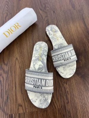 Christian_Dior_Dway_Slide_In_Grey_Signature_Embroidered_With_OG_Box_Carry_Bag_2019-1_Grey