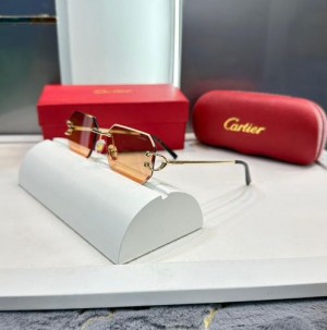 Cartier Aujla Premium Shades With OG Kit