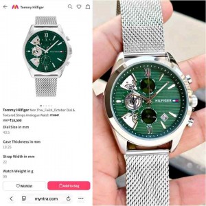 Tommy_ Hilfiger Bakers silver  Green