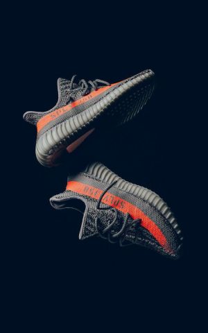 Adida s Yeezy Boost 350 V2 Beluga SEMI UA With All Accesories