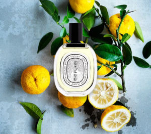 diptyqu_e oyed_o edt 100 ml 162