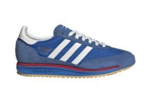 Blue Adida Shoe