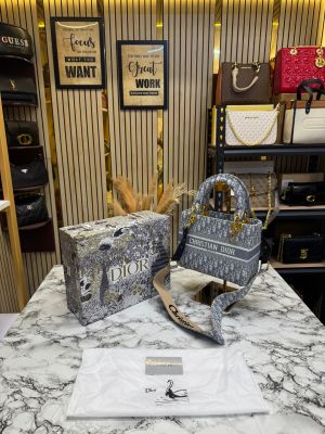 Christian_Dior_Lady_Oblique_Canvas_Premium_Quality_(Grey-0889)