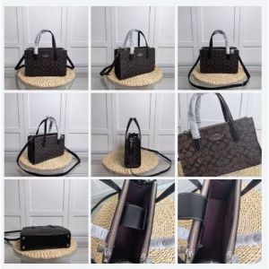 Coach_nina_mini_totebag_with_ogbox_carrybag_etc_417
