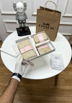 COACH_premium_womens_wallet_combo_with_ogbox_carrybag_ea189