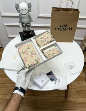 COACH_premium_womens_wallet_combo_with_ogbox_carrybag_ea191