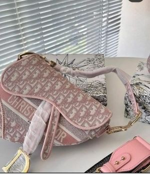 _Christian_Dior_saddle_with_box_5877