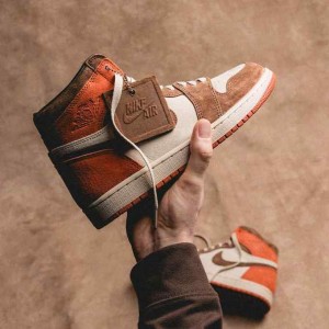 Air Jordan 1 High Dusted Clay