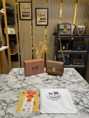 Coach_Hutton_Sling_Bag_With_Box_Dustbag_(Khaki)_(V-19569)