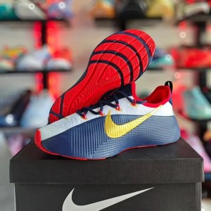 Nik e LeBron Royalty TR 1 Team USA