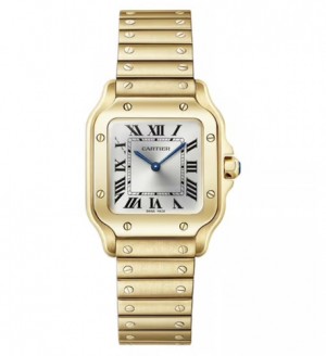 Cartier Santos Gold Small Size