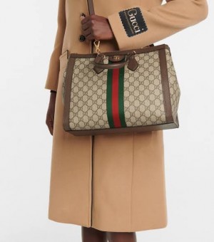 Gucci_ gg_ophidia_big_totebag_with_dust_cover