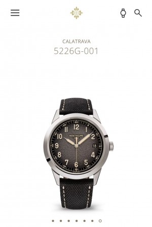 Pate k Philippe Calatrava Series Automatic Open Back