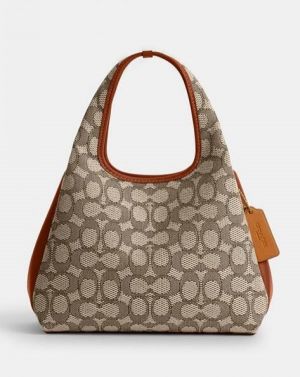 Coach_lana_shoulder_bag_with_og_box_(9036))