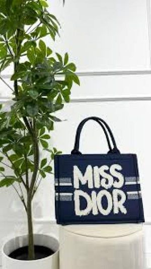 _Miss_dior_book_tote_with_og_box