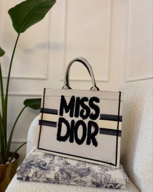_Miss_dior_book_tote_with_og_box