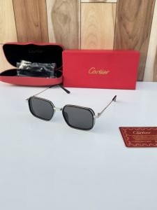 Cartier_2841_silver_black