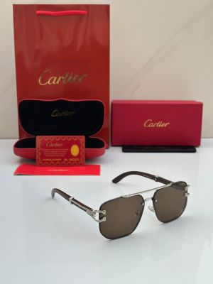 CARTIE_R SUNGLASS 