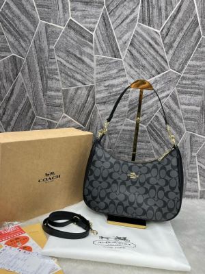 Coach_Teri_Hobo_With_OriginalBox_DustCover