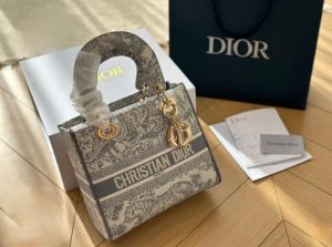Christan_dior_embroidary_ladydior_bag_with_og_box