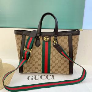 Gucci_GG_ophidia_Bag_in_Bag_Tote_Bag_5939