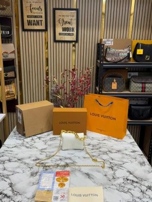 loui_vuitton coussin nano bag with og double box premium quality (white)