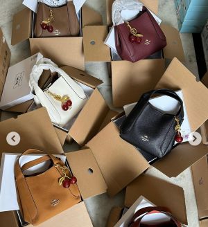 COACH-HOBO-BUCKET-WITH-DOUBLE-BOX-AND-DUST-BAG-PREMIUM-QUALITY-5692