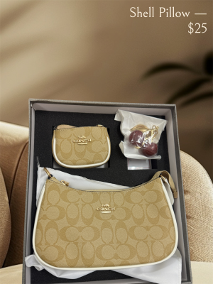 Coach_Teri_Combo_Set_With_Box_Dustbag_Smallbag_CherryKeychain_Bill