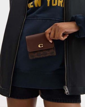 Coach_flap_wallet_premium_quality_with chain