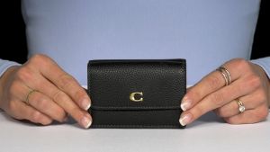 Coach_flap_wallet_premium_quality_with chain