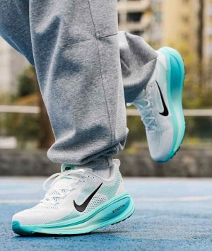 Nik_e Vomero 18 Dusty Cactus  (372