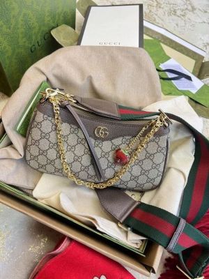Gucci_gg_ophidia_shoulderbag_with_og_ribbonbox_charm_etc_461