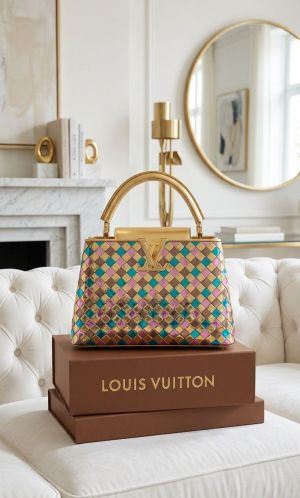 Louis_Vuitton_ vanity_style_handbag featuring a metallic woven texture With Box premium quality