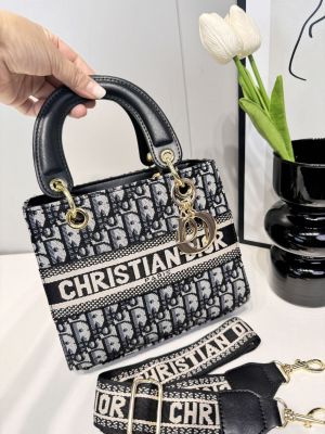   CHRISTIAN DIO.R LADY BAG EMBROIDERY PREMIUM WITH OG BOX