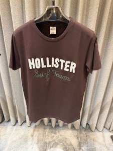 Holliste r Brown Round neck Imported Tshirt