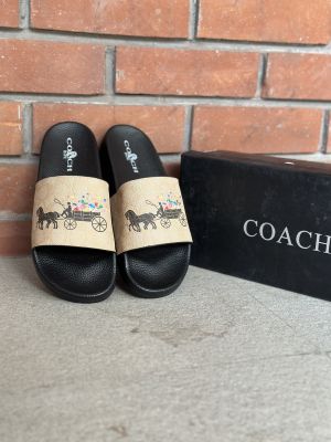 Coach_Bape_Rainbow_Horse_Beige_Slide