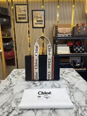 Chloe Premium Quality Handbag With Dust Bag (6230-Black)