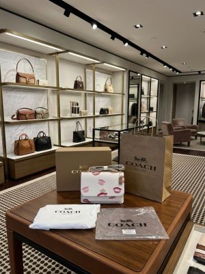 Coach_klare_premium_quality_crossbody_bag_with_ogbox_carrybag_etc_452