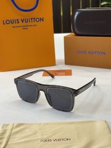 _Louis_vuitton_6001_grey