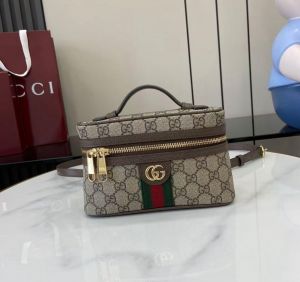 Gucci_Ophidia_Vanity_Bag_With_OriginalBox_DustCover