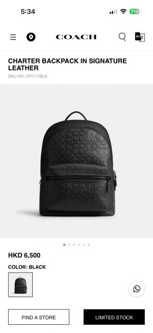 Coach_Charter_Unisex_Highend_Backpack_With_DustCover_CarryBag