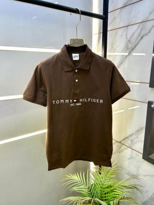 Tommy_Hilfiger Brown Polo Premium Collar Neck T-shirt F2630-BR