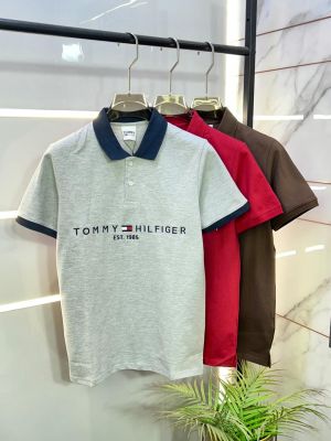 Tommy_Hilfiger Grey Polo Premium Collar Neck T-shirt F2630-GY