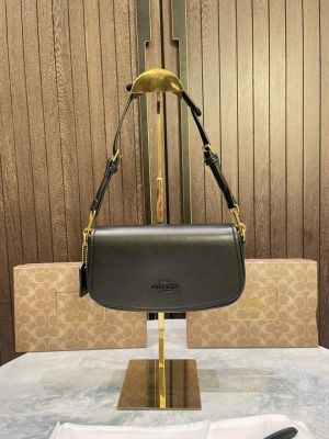 Coac_h Andrea Shoulder Bag In Signature Canvas with box 678